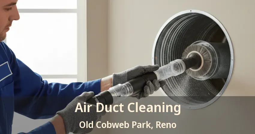 Air Duct Cleaning Old Cobweb Park, Reno - TX