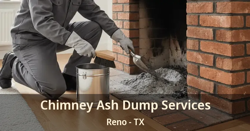 Chimney Ash Dump Services Reno - TX
