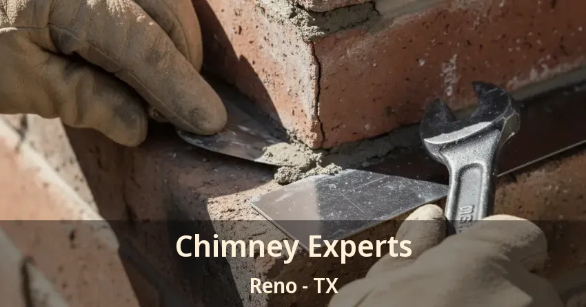 Chimney Experts Reno - TX