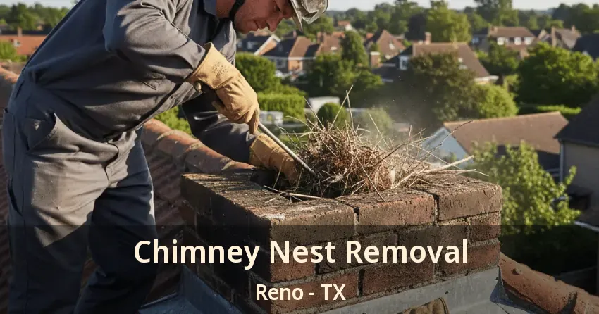 Chimney Nest Removal Reno - TX