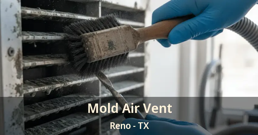 Mold Air Vent Reno - TX