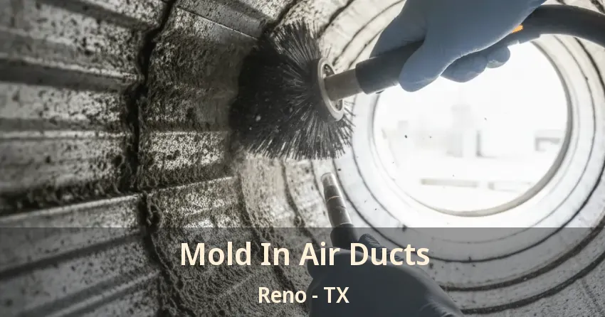 Mold In Air Ducts Reno - TX