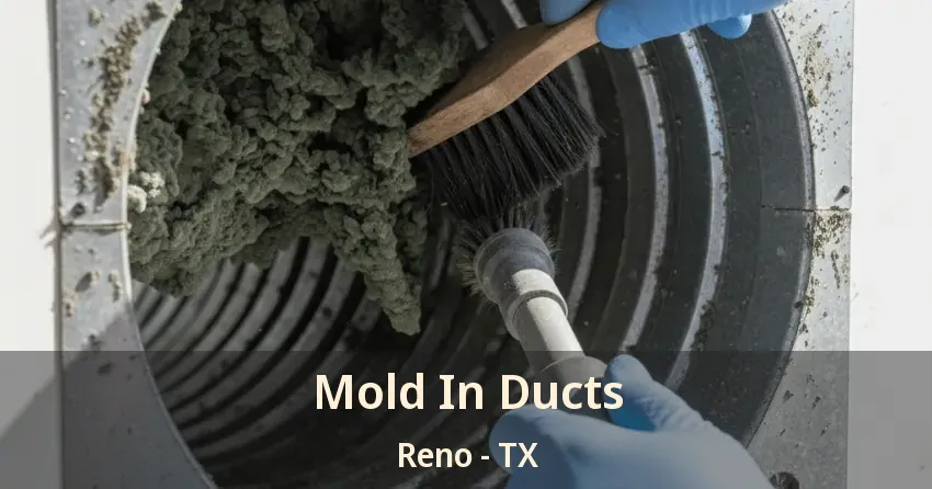 Mold In Ducts Reno - TX