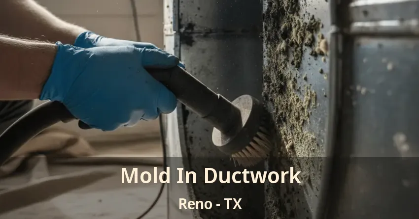 Mold In Ductwork Reno - TX