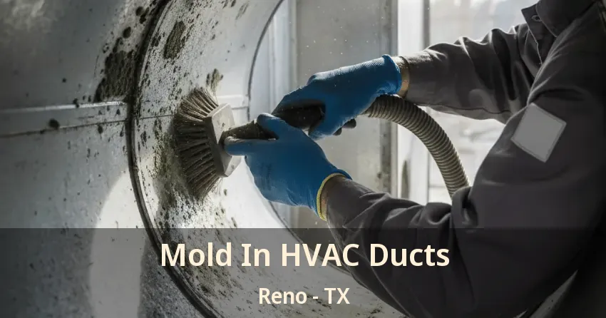 Mold In HVAC Ducts Reno - TX