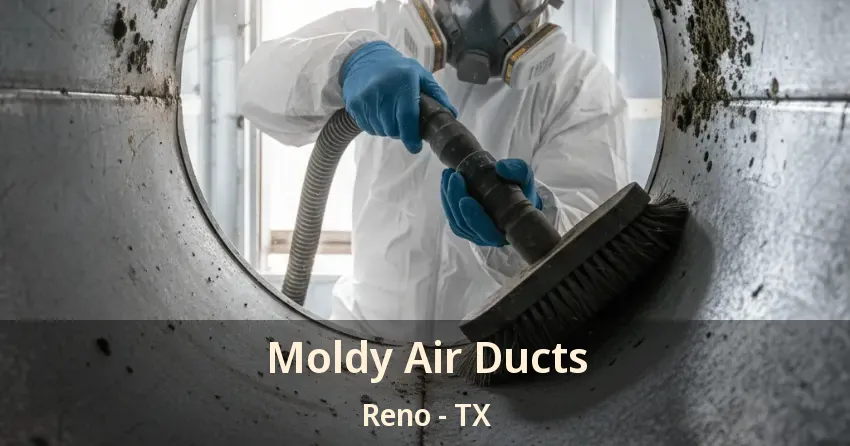 Moldy Air Ducts Reno - TX